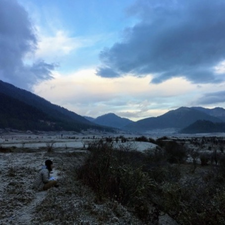 cranes in Bhutan
