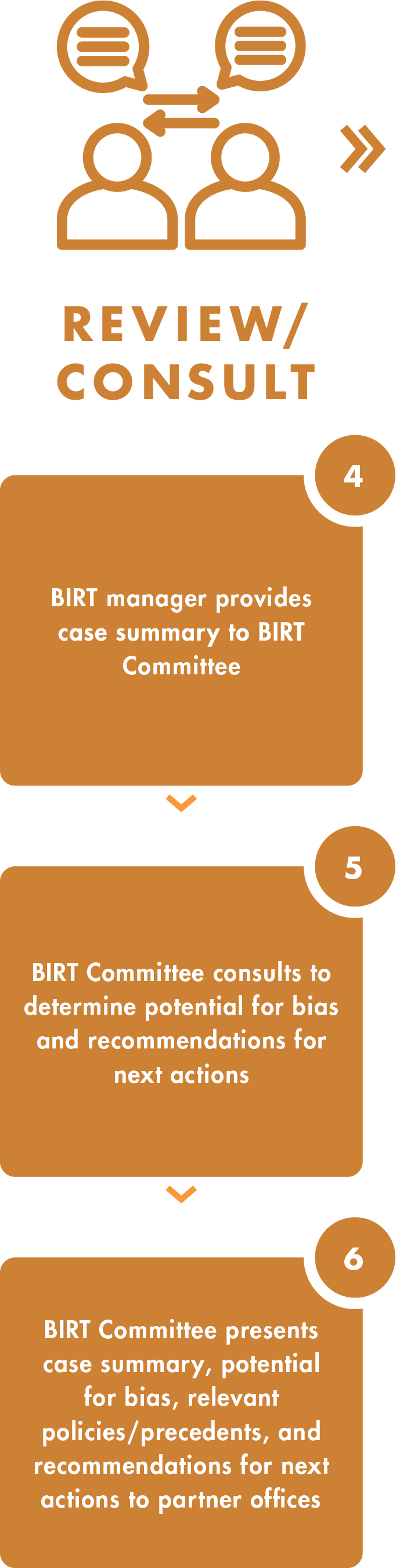 Review and Consult

4. BIRT manager provides case summary to BIRT Committee.
5. BIRT Committee consults to determine potential for bias and recommendations for next actions.
6. BIRT Committee presents case summary, potential for bias, relevant policies/precedents, and recommendations for next actions to partner offices. 
